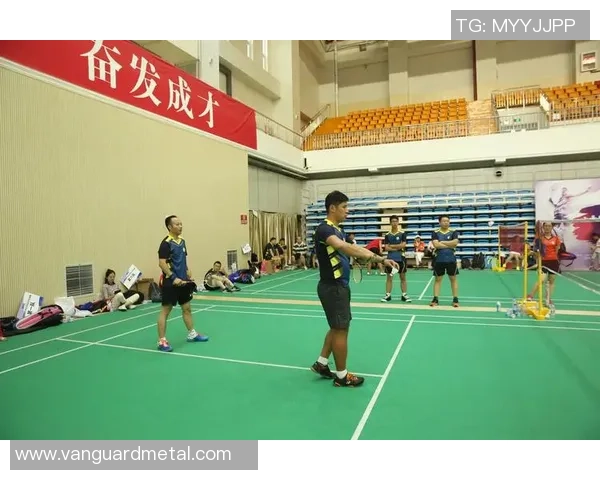 南京羽毛球队的灵活性探讨与发展策略分析